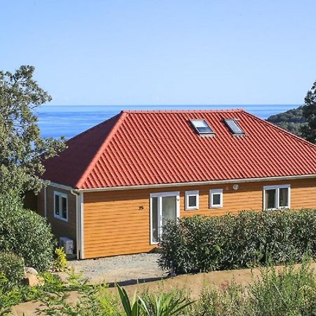 Villa Vista Mare Favone Conca Esterno foto